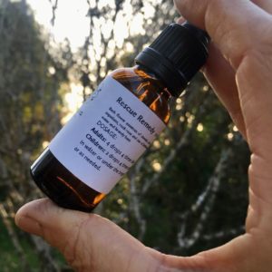 Panacea natural health herbal medicine naturopathy